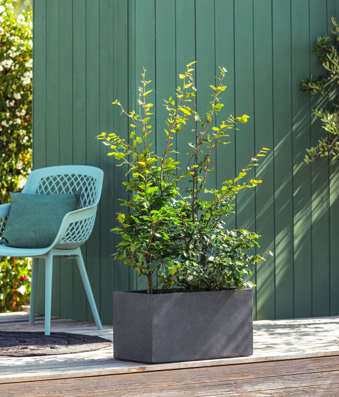 3x POP-UP Sommer AKTION