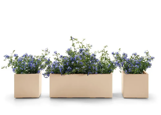 3x POP-UP Sommer AKTION