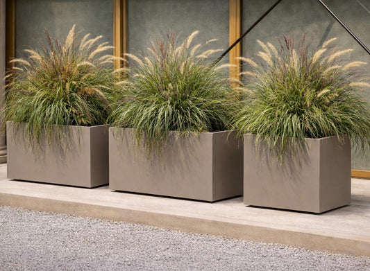 3x KEBE Eco, Frühlingsfit AKTION