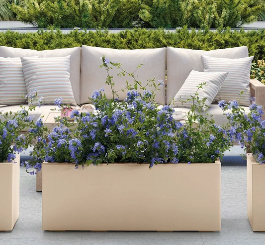 3x POP-UP Sommer AKTION